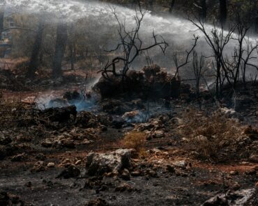 California Insurance: Property Coverage Update