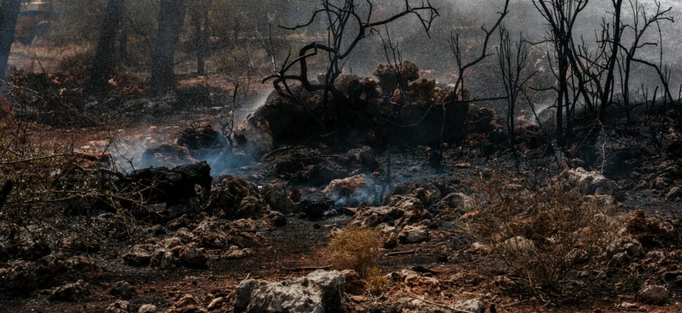 California Insurance: Property Coverage Update